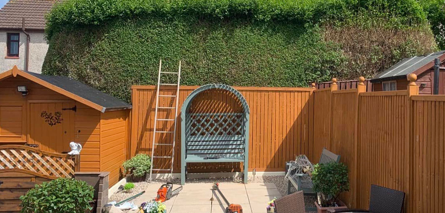 Neat garden with brown fence and shed and large hedge