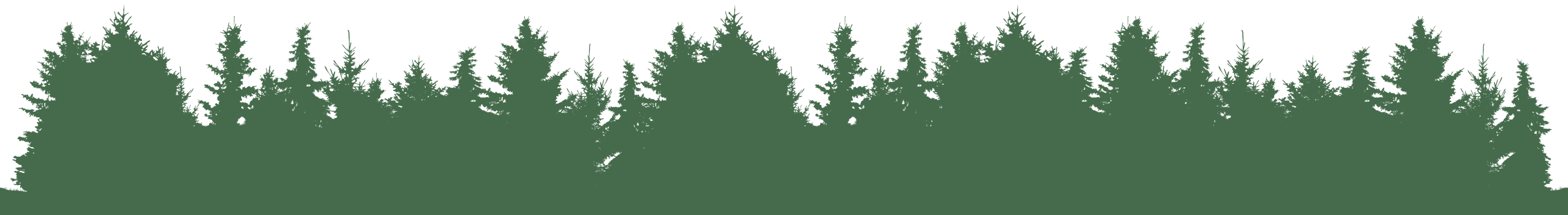 Trees vector